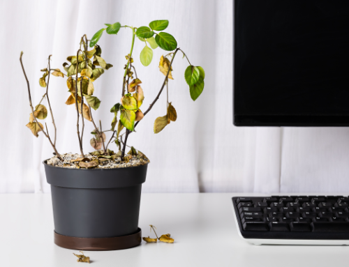 The silent crisis: Why your member recruitment strategy is wilting (and how email can revive it)