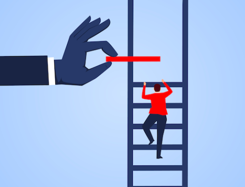 MemberWise Mentoring Programme: Going from Strength to Strength